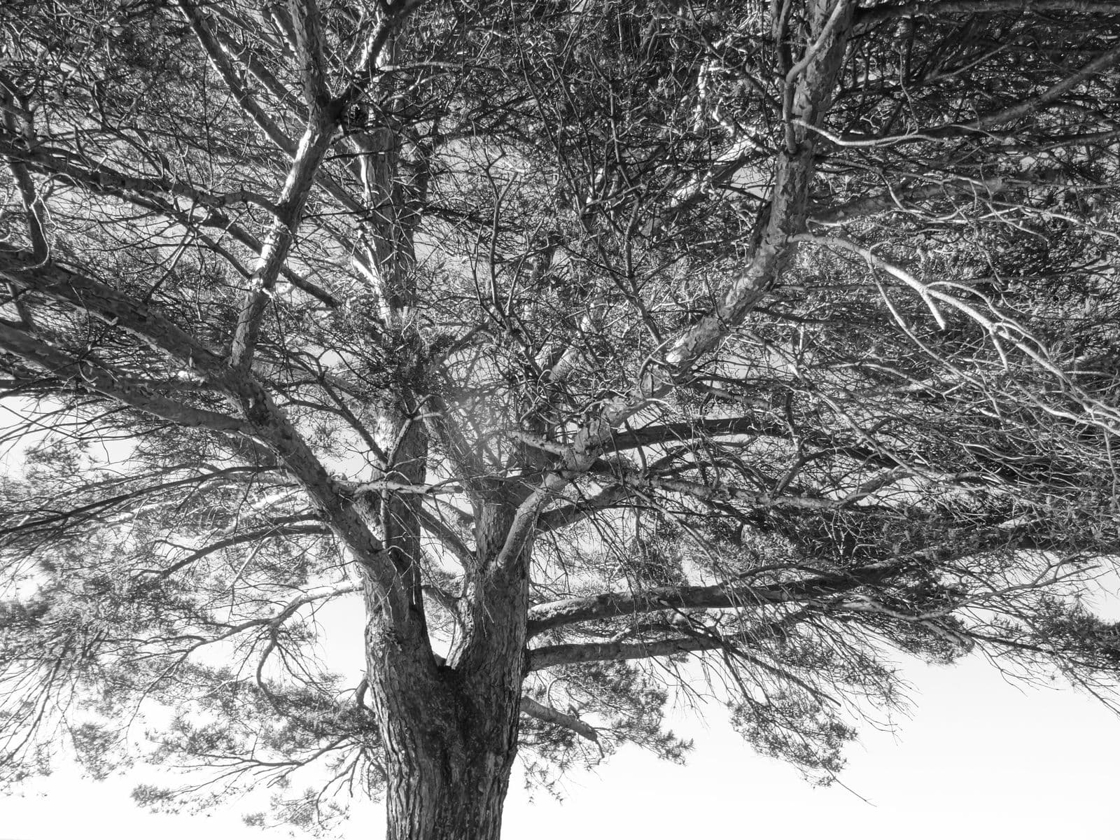 AUX QUATRE VENTS, Robert Perrault, 2014