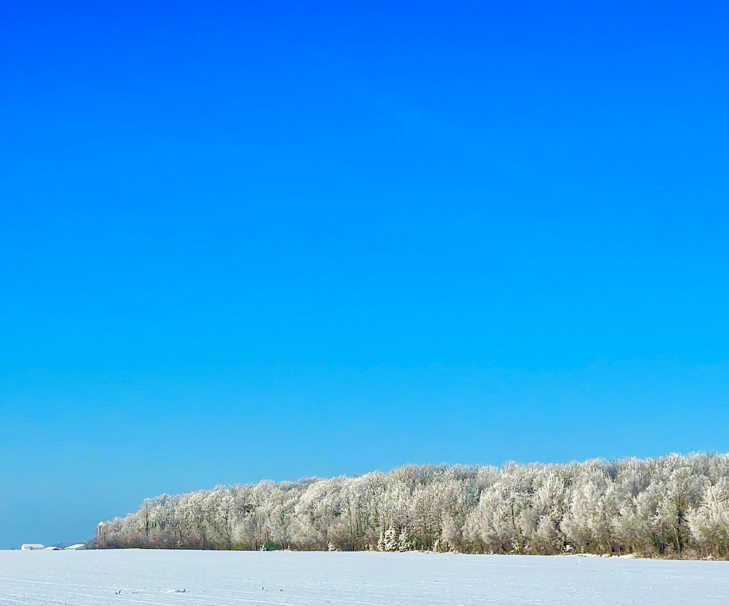 L'hiver., Robert Perrault, 2024