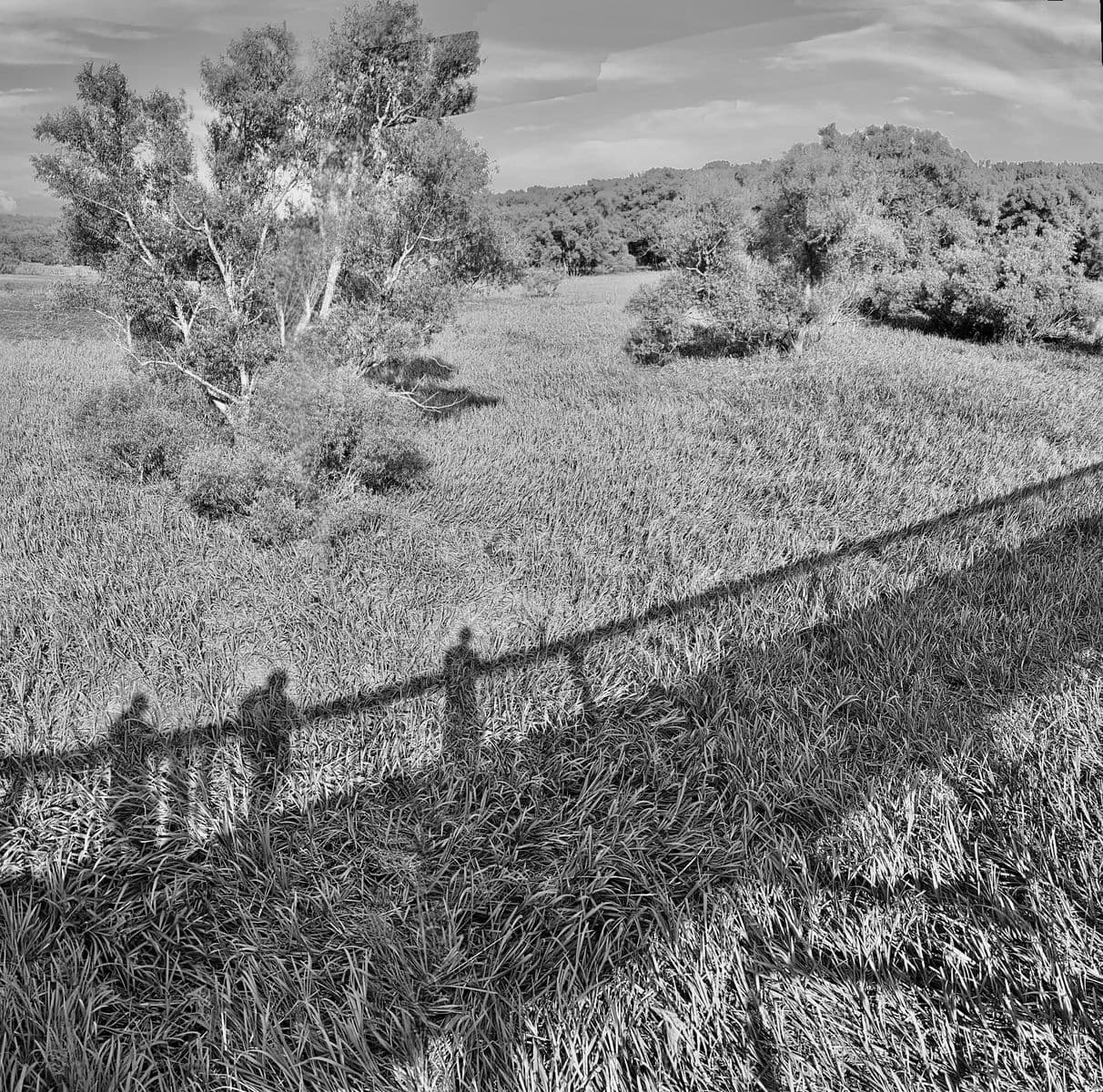 La passerelle-3, Robert Perrault, 2022