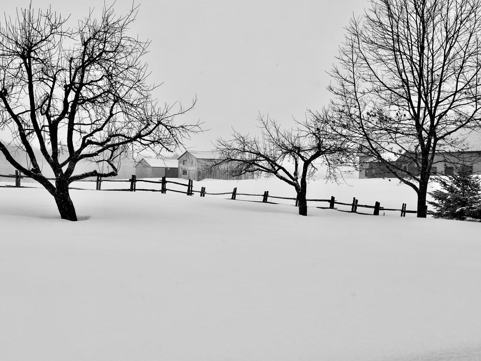 Douce hiver (3), Robert Perrault, 2025