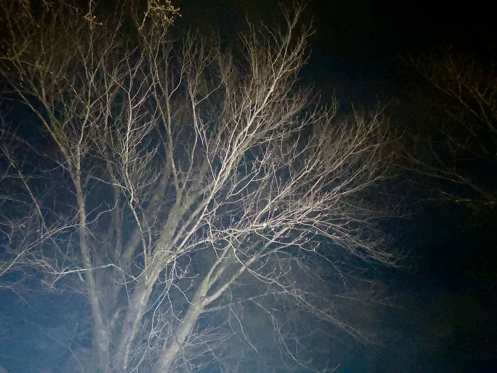 Bleu sur bleu., Robert Perrault, 2025