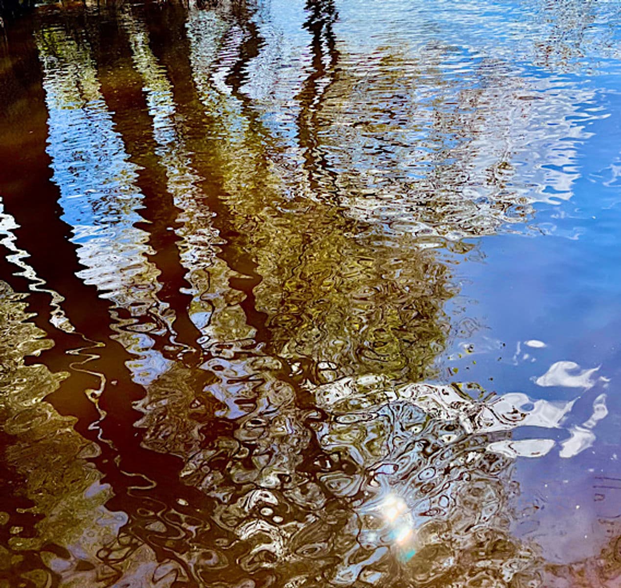 RÉFLEXION DE LA TRANSPARENCE (02), Robert Perrault, 2023