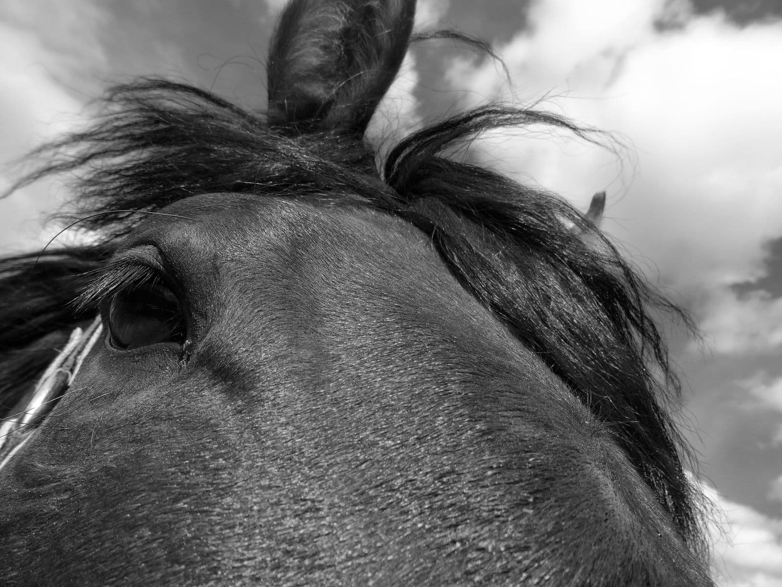 L'énergie 1/16, Robert Perrault, 2023