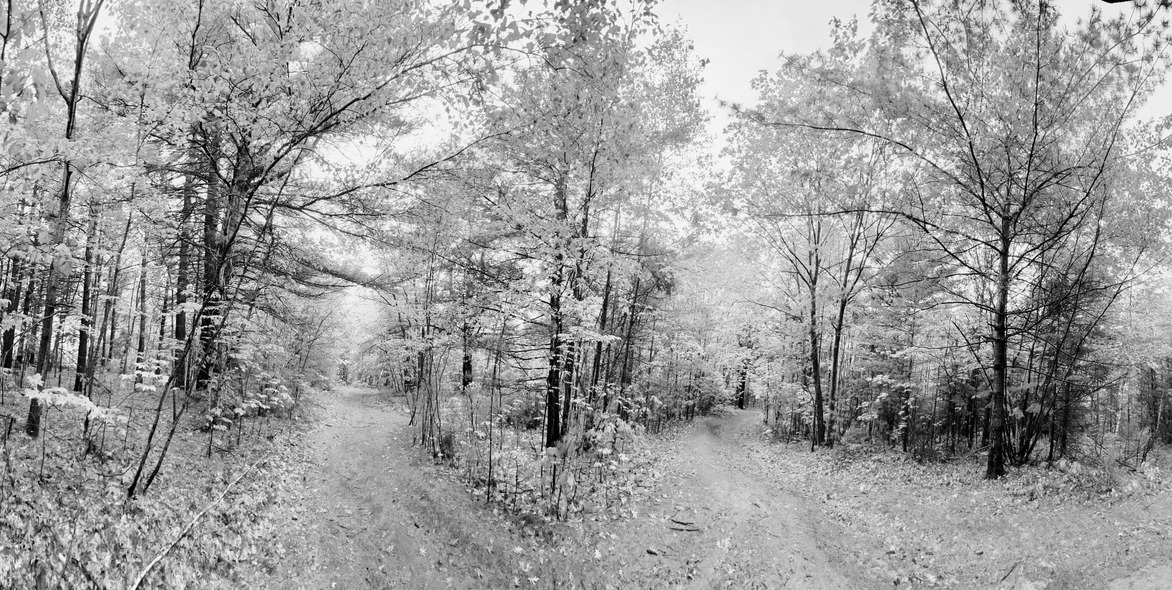 Le sentier à deux têtes, Robert Perrault, 2022
