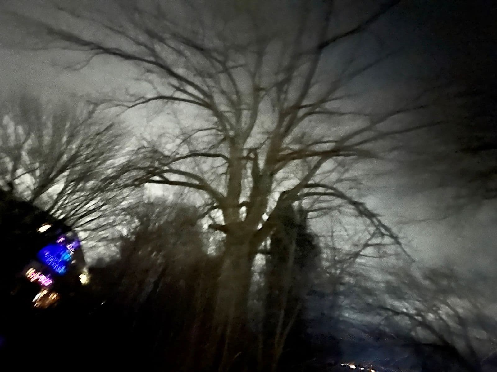 House of blues, Robert Perrault, 2025