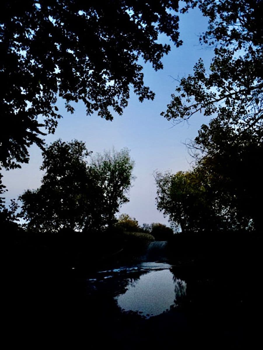 Bleu sur bleu, Robert Perrault, 2025