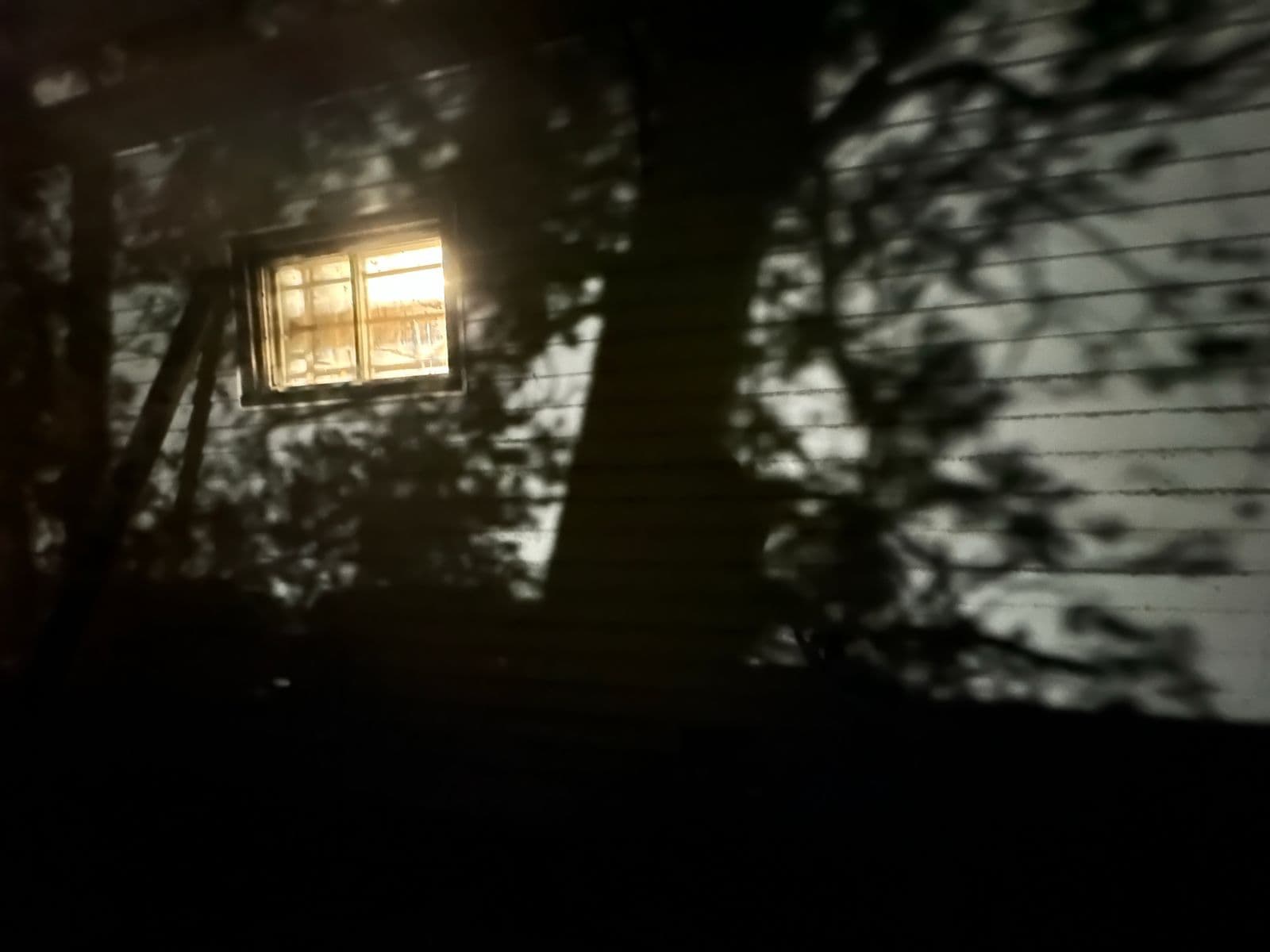 House of Blues, Robert Perrault, 2024