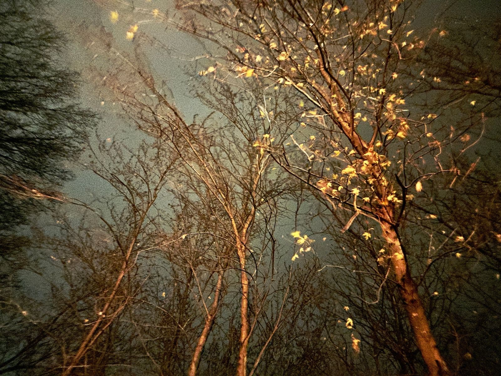 Rythme d'automne, Robert Perrault, 2024