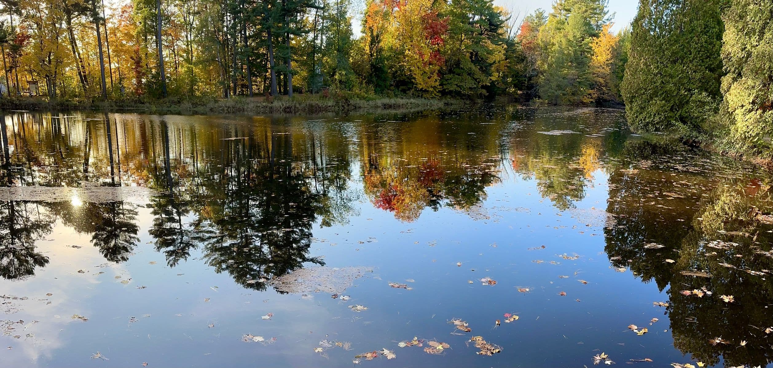 Reflets d'automne., Robert Perrault, 2023