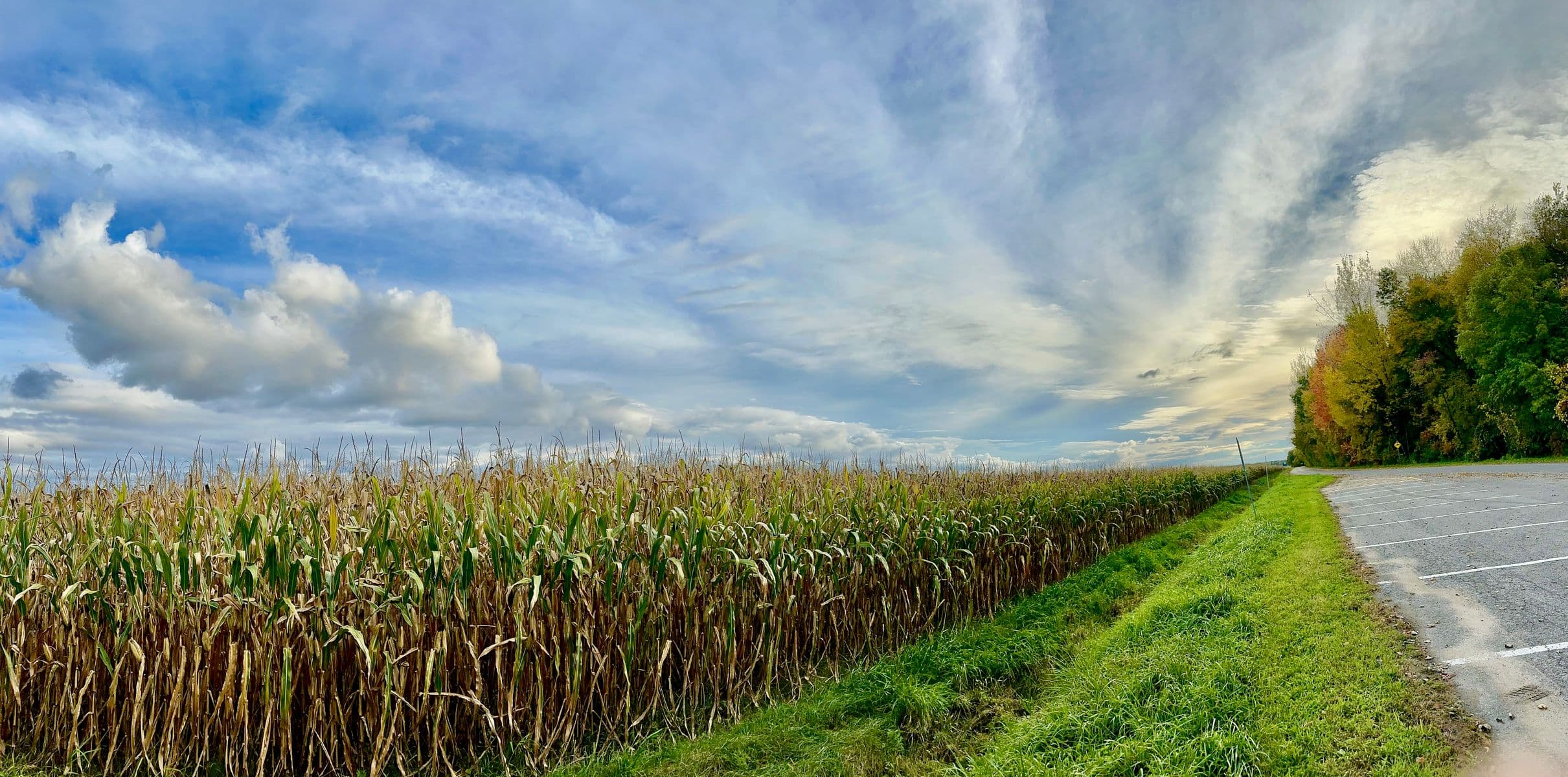 La danse du maïs (5a), Robert Perrault, 2025