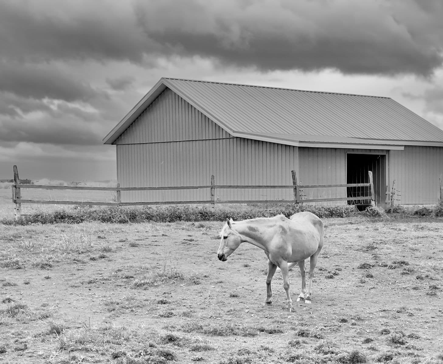 L'espace d'un matin., Robert Perrault, 2025