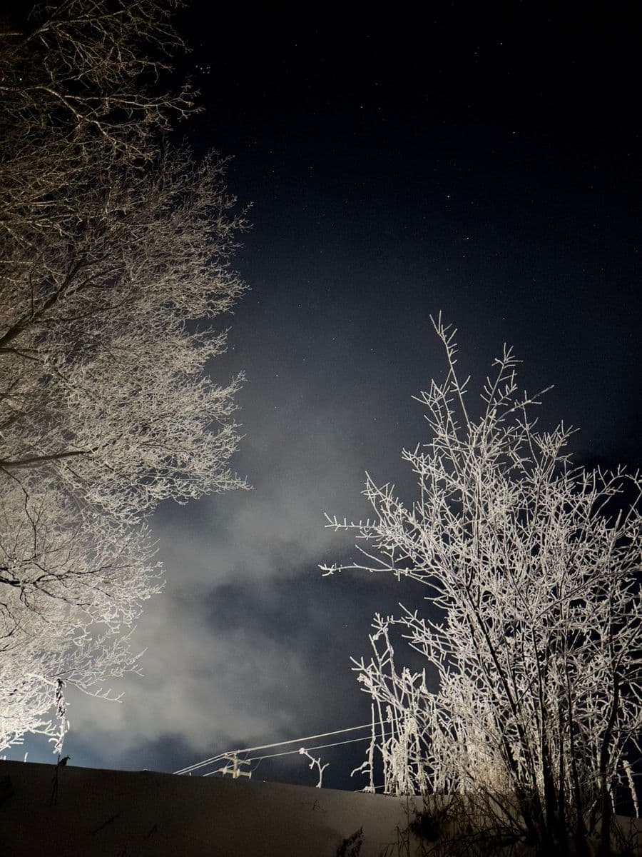 Un gris givré., Robert Perrault, 2025