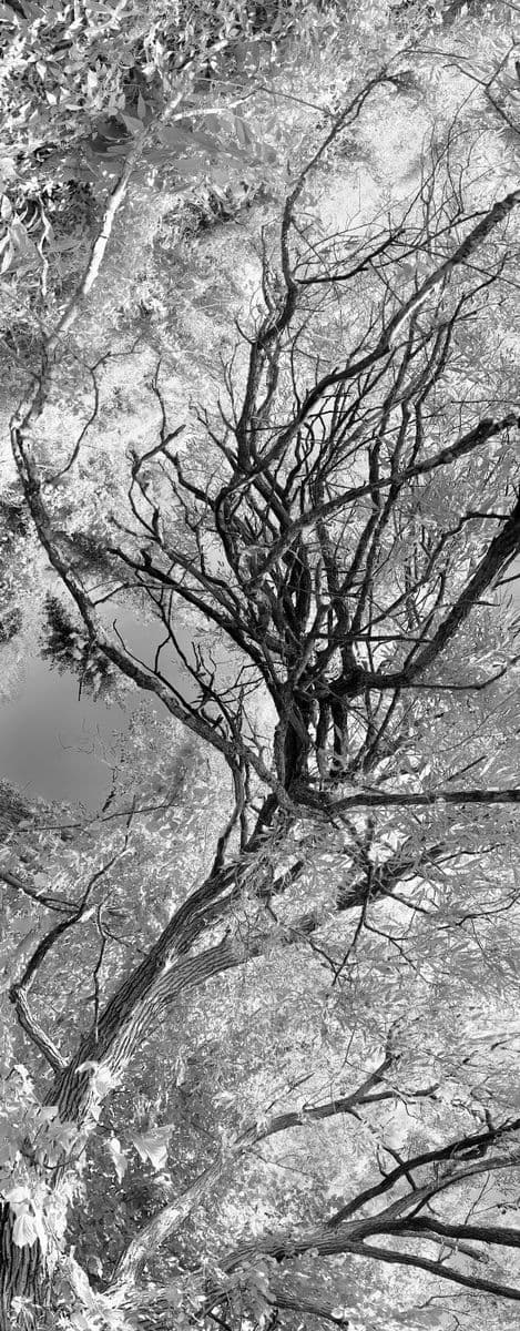 Le dome, Robert Perrault, 2024