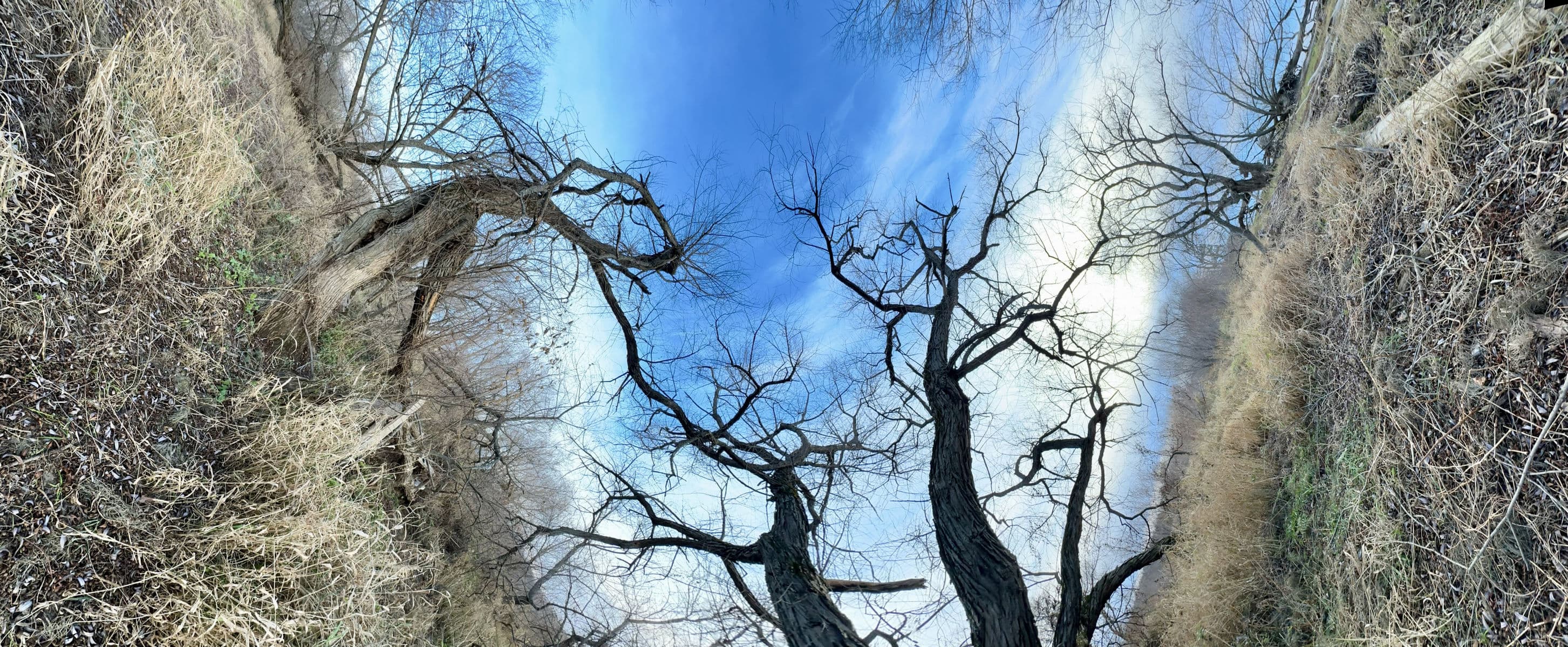 La passerelle-7, Robert Perrault, 2024