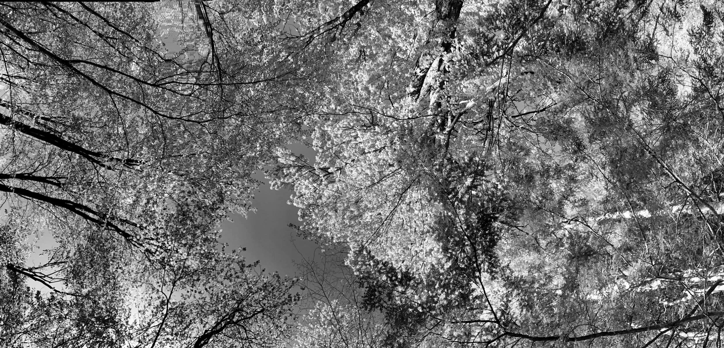 Trou dans le ciel, Robert Perrault, 2025